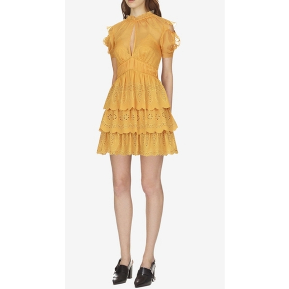 Self-Portrait NWOT Embroidered Chiffon Tiered Mini Dress In Gold Yellow Size 4 - Picture 9 of 16